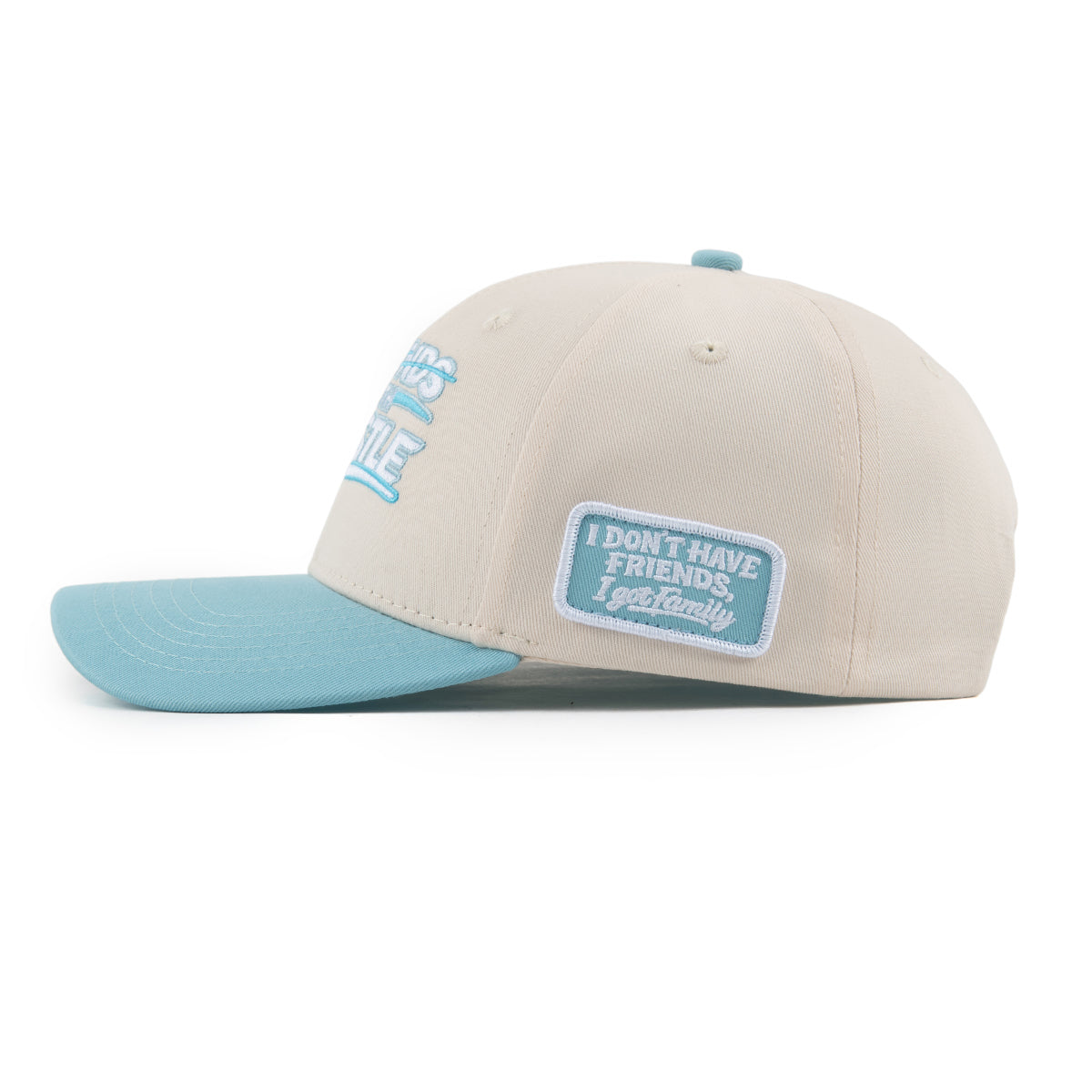 NO FRIENDS JUST FAMILY CAP