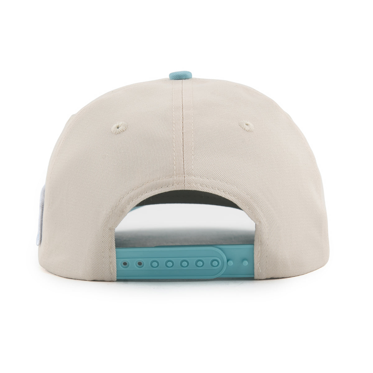 NO FRIENDS JUST FAMILY CAP