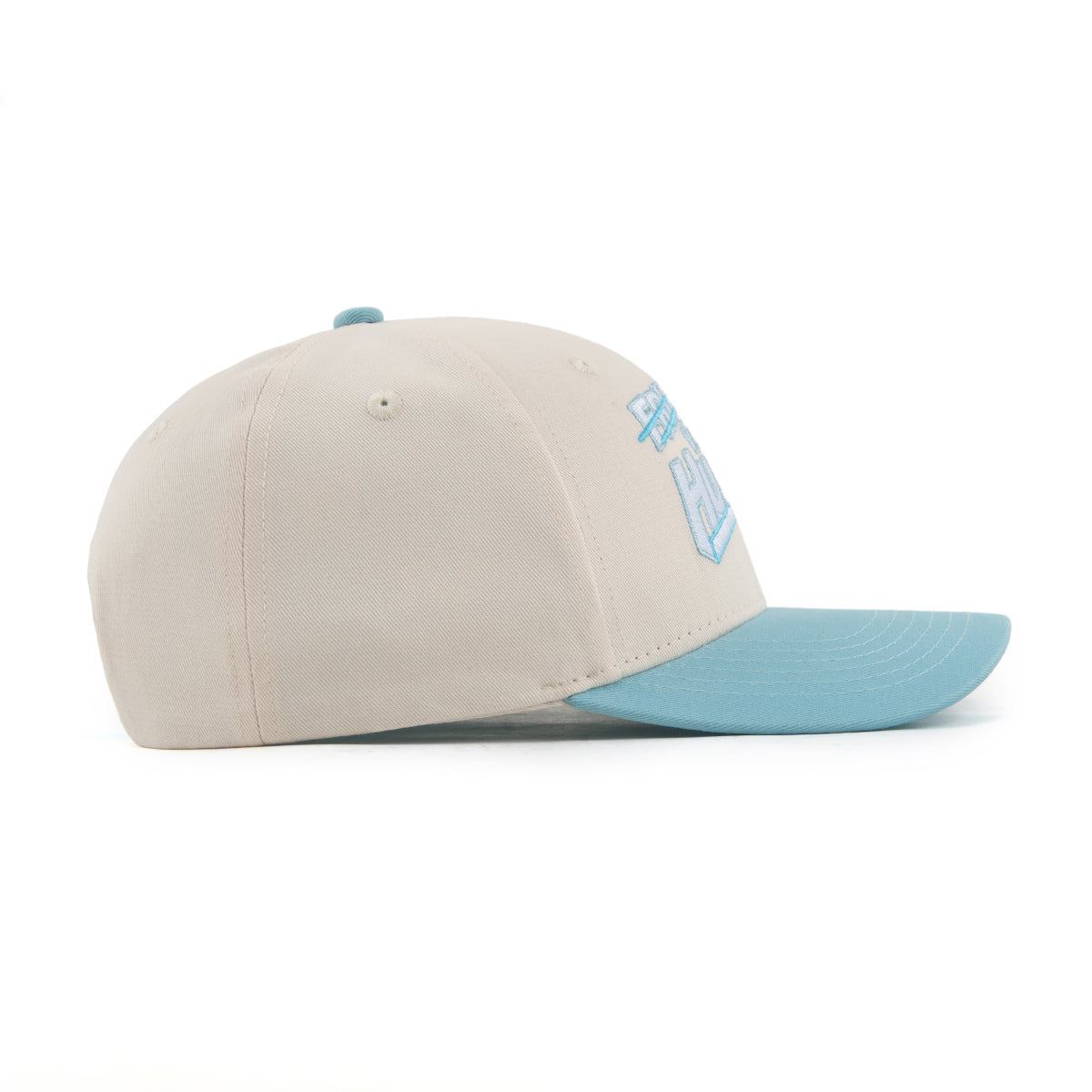NO FRIENDS JUST FAMILY CAP